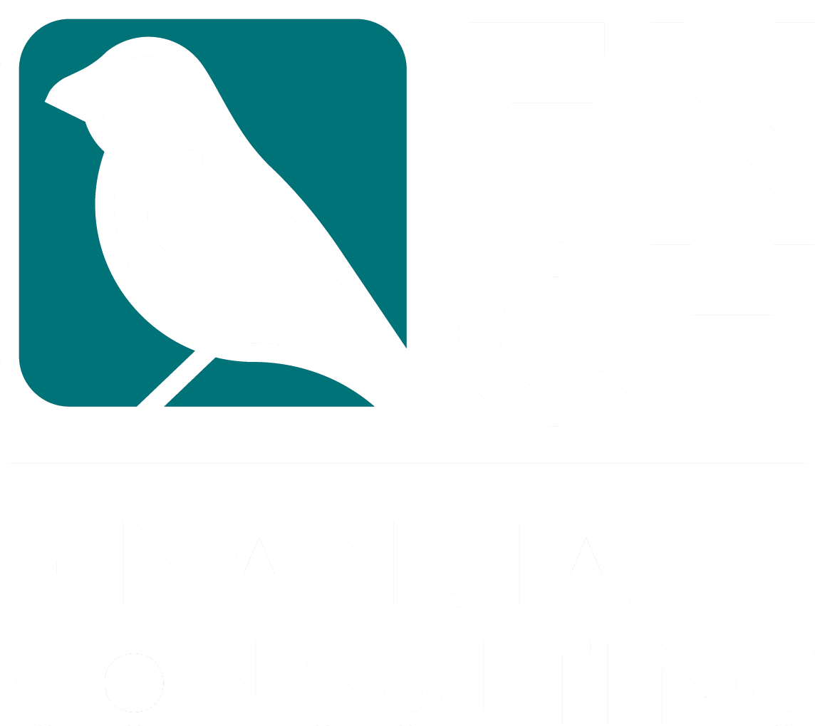 Our team fnch financial and consulting